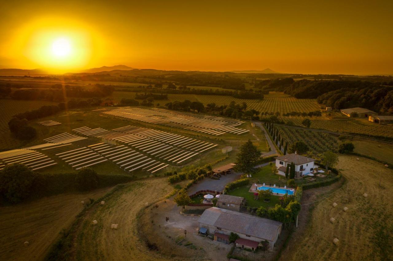 Il Raggio Di Sole Villa Bagnoregio Eksteriør billede