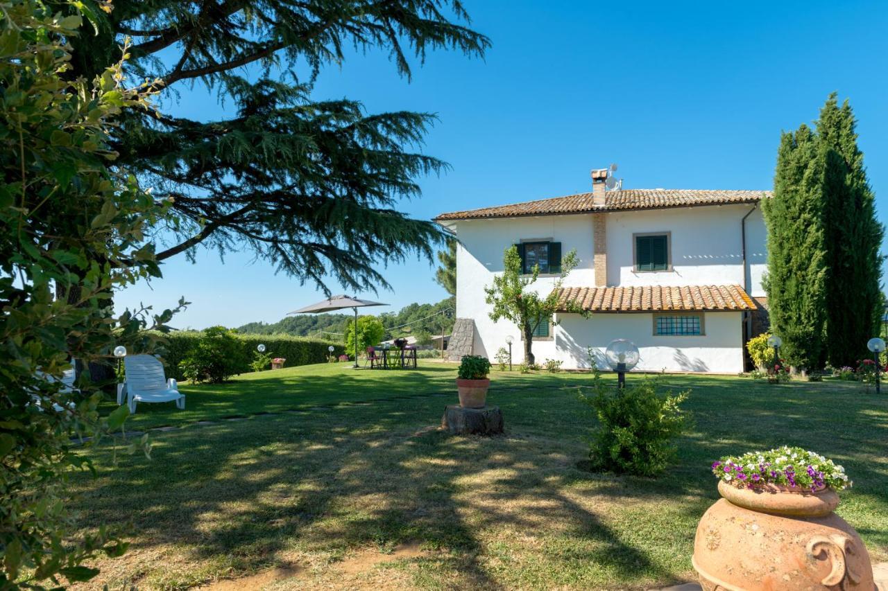 Il Raggio Di Sole Villa Bagnoregio Eksteriør billede