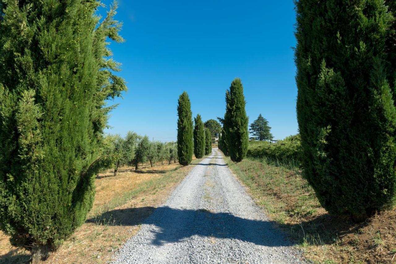 Il Raggio Di Sole Villa Bagnoregio Eksteriør billede